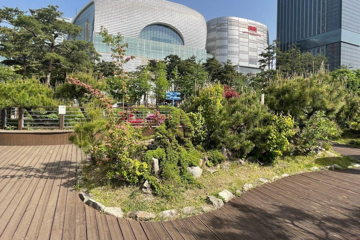 蠶室 石村湖 2025