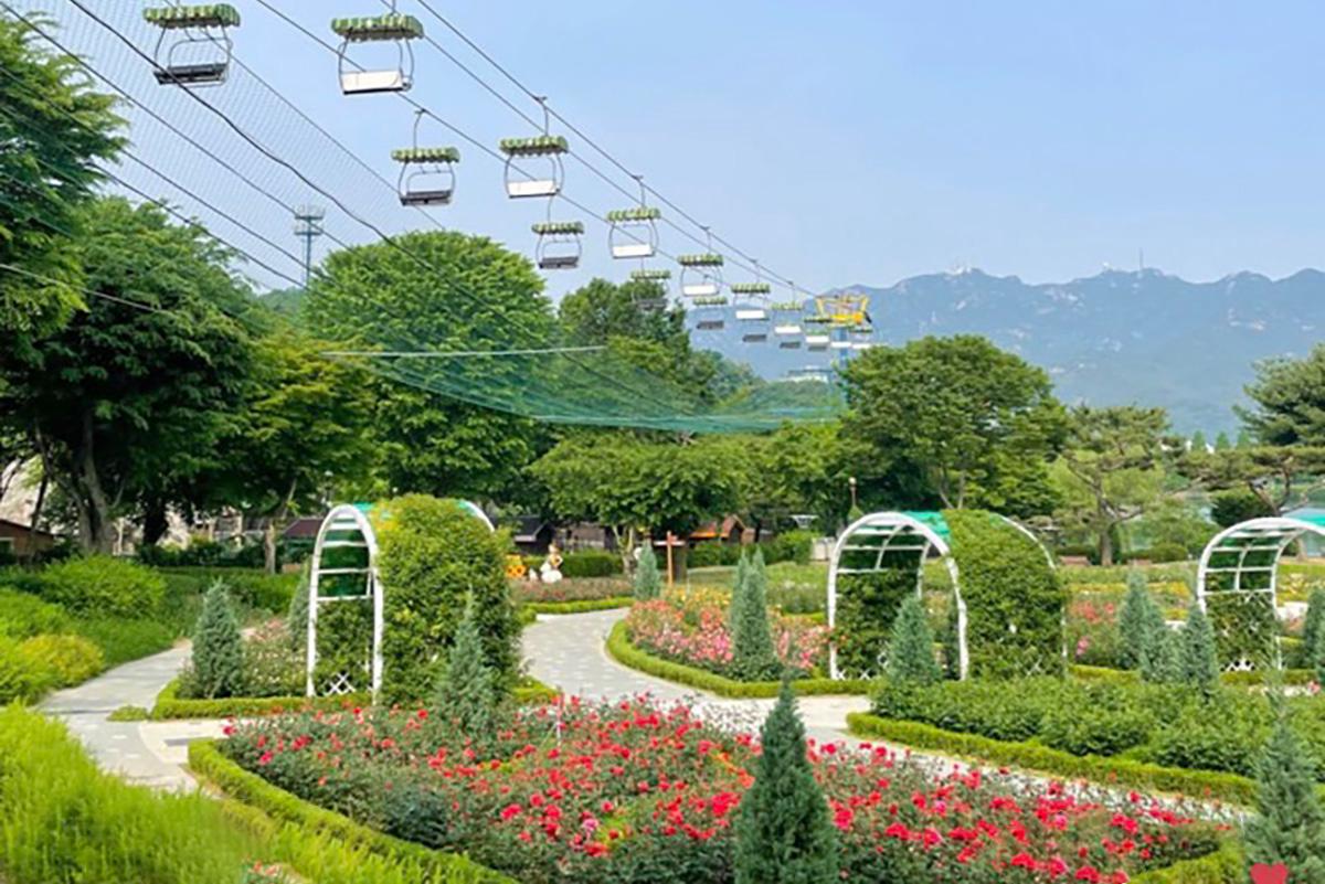 首爾動物園/空中纜車套票