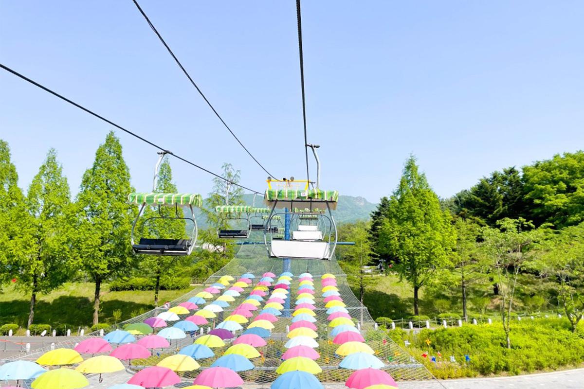 首爾動物園/空中纜車套票