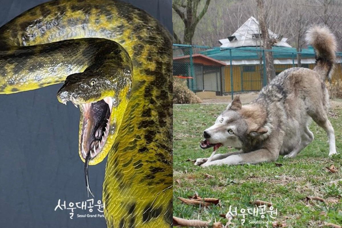 首爾動物園/空中纜車套票