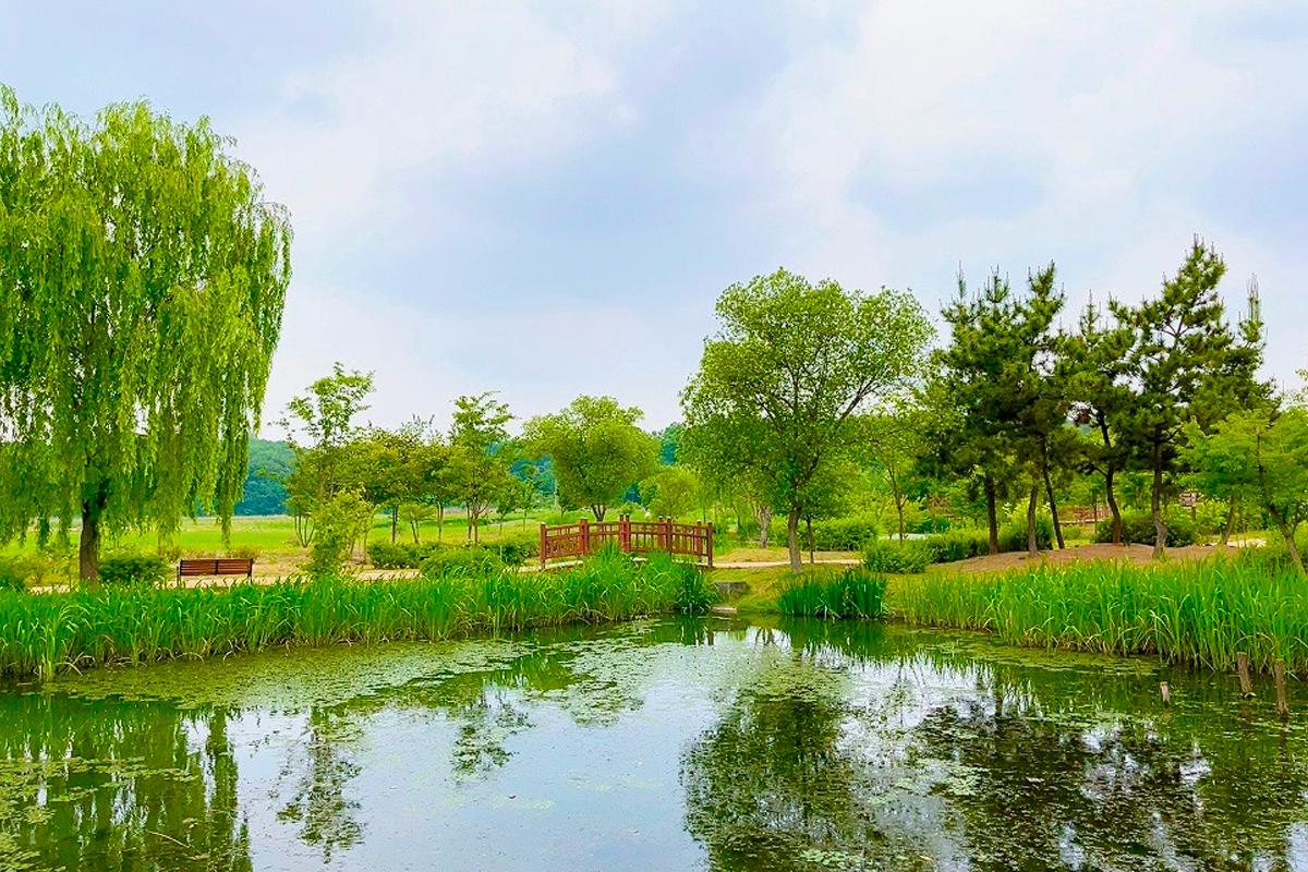 Enjoy A Peaceful Picnic At Yeonhee Nature Garden