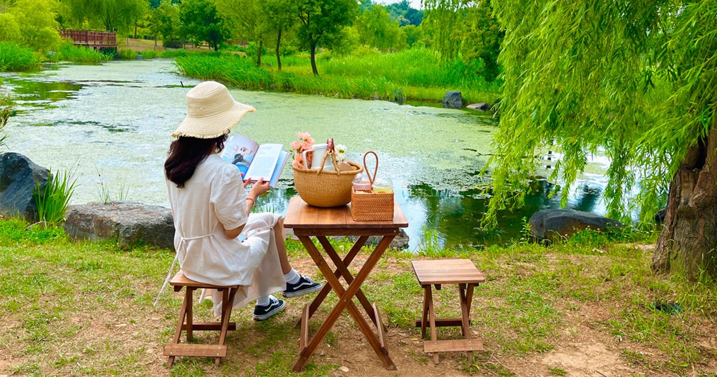 ปิคนิคที่สวนสาธารณะยอนฮี