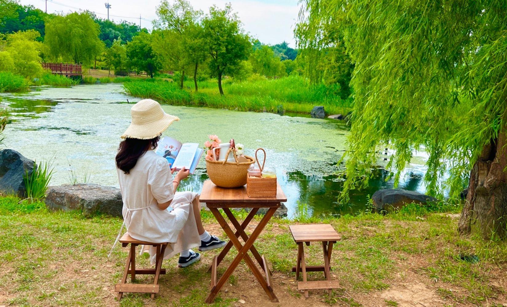 1 ngày picnic tại Vườn thiên nhiên Yeonhee tuyệt đẹp của Incheon