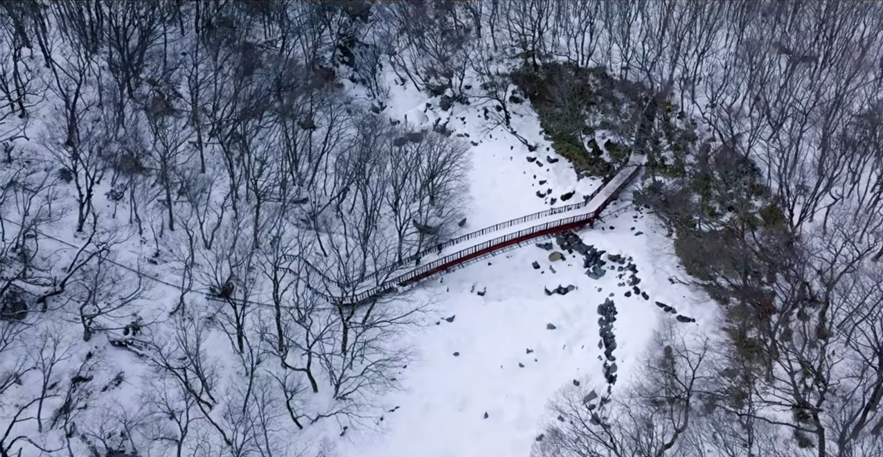 韓劇 我們的藍調時光
