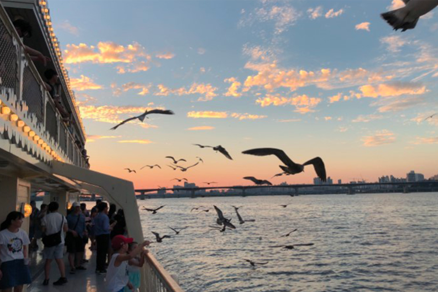 首爾汝矣島 漢江遊覽船 2025 預約優惠 折扣