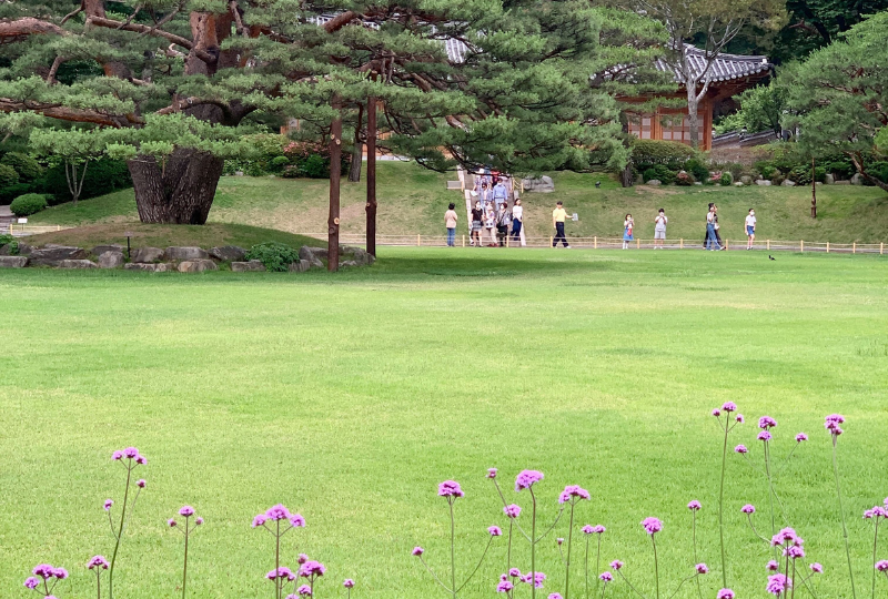 韓国、青瓦台、チョンワデ、鍾路名所、旧大統領府