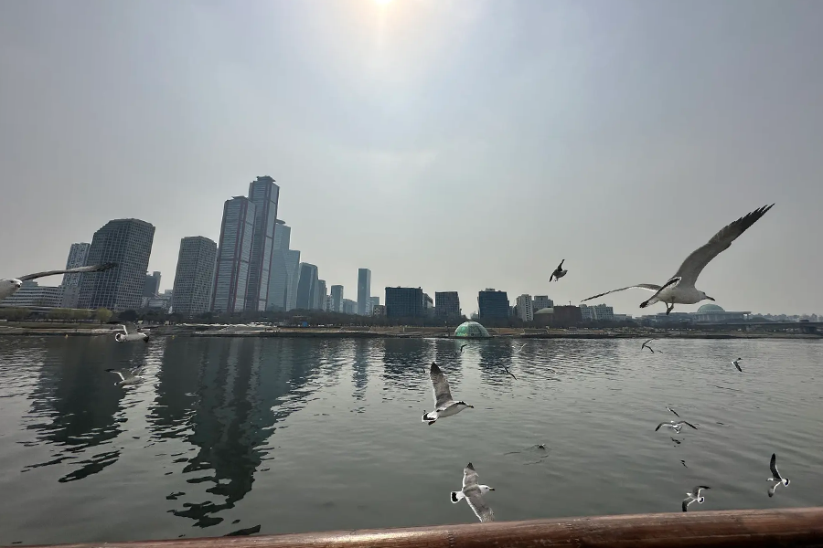 韓國遊艇 方案 首爾遊艇推薦租借 2025 釜山海雲台遊艇