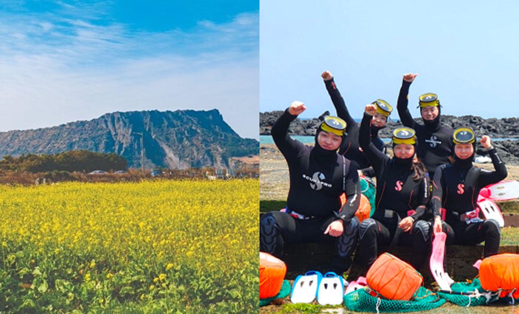 Tổng hợp tour du lịch đảo Jeju Hàn Quốc giá rẻ, lịch trình tự do 2022