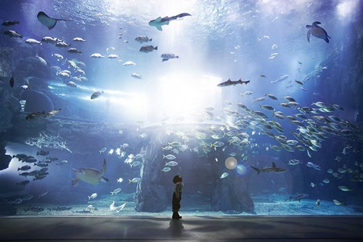 麗水海洋世界水族館