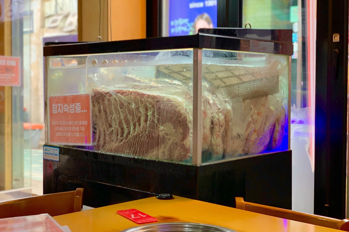 bể bảo quản thịt trong nước hàn quốc