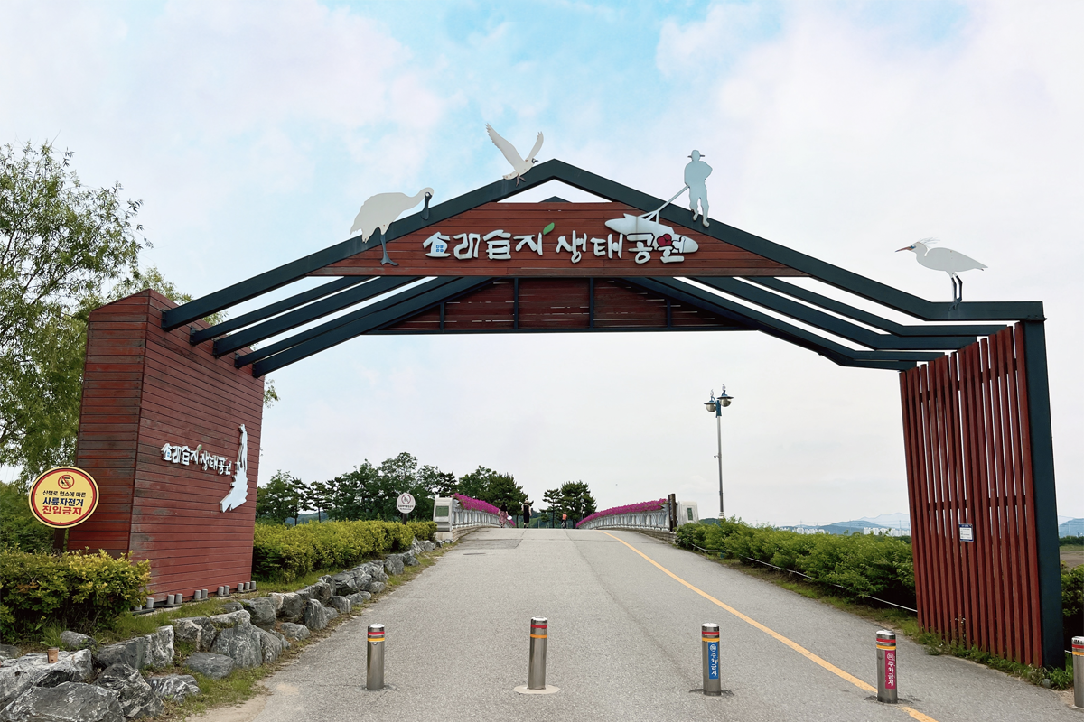 韓国、韓国旅行、韓国観光、ソウル近郊、仁川旅行、韓国グルメ、仁川、インチョン、蘇萊湿地生態公園、蘇萊浦口総合魚市場、トンクンカルグクス、ドラマロケ地、塩田