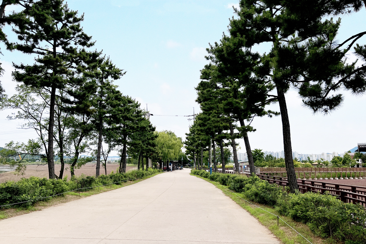 韓国、韓国旅行、韓国観光、ソウル近郊、仁川旅行、韓国グルメ、仁川、インチョン、蘇萊湿地生態公園、蘇萊浦口総合魚市場、トンクンカルグクス、ドラマロケ地、塩田