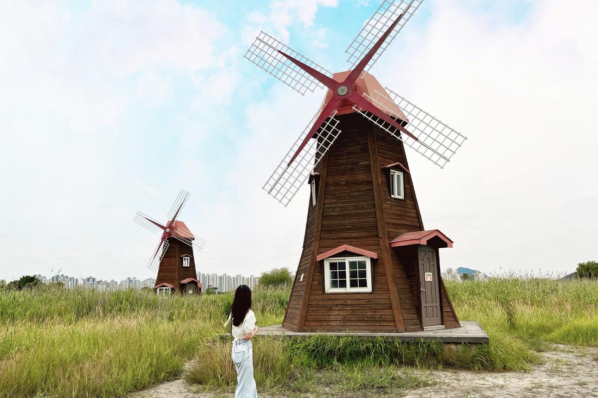 仁川 公園｜蘇萊湿地生態公園