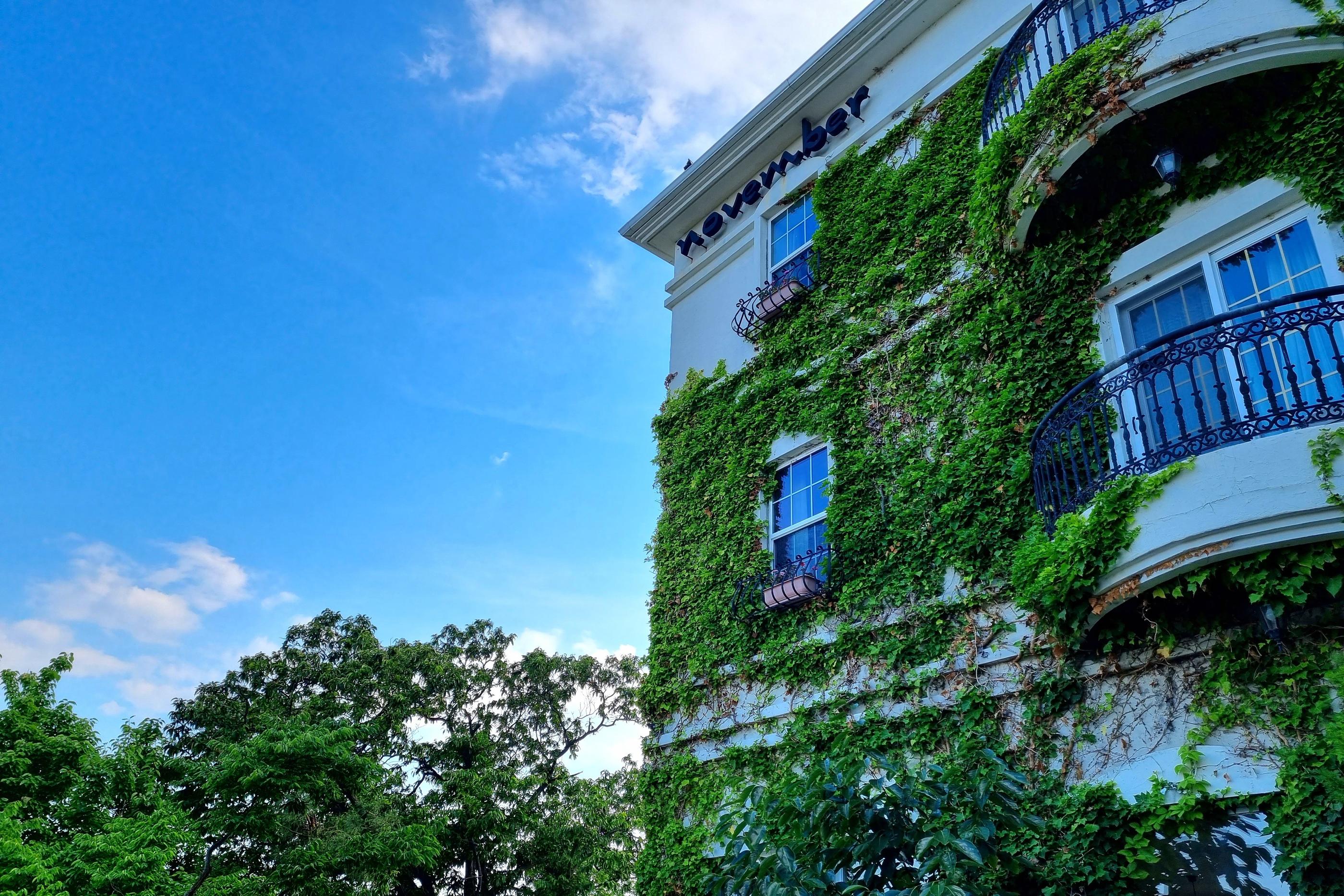 江陵、カンヌン、カンルン、江原道、カンウォンド、カンウォン、韓国旅行、韓国海、韓国トンへ、韓国東海、江陵旅行、江原道旅行、NOVEMBER、NOVEMBERホテル、ノーベンバー、ノーベンバーホテル、韓国ノーベンバー、韓国ホテル、江陵ホテル、海の見えるホテル