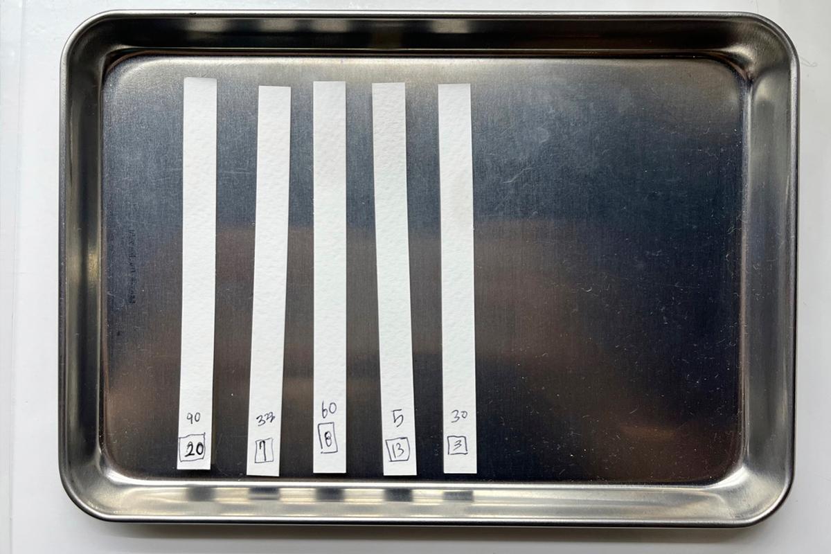 Пробники парфюмов, аккуратно разложенные и помеченные на металлическом лотке в Aroma Forest Sangam.