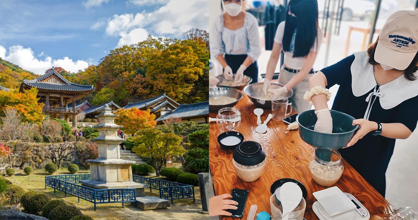 ทัวร์ยองจู 2 วัน 1 คืน ทำมักกอลลี + ไวน์โสม + ชาดอกไม้