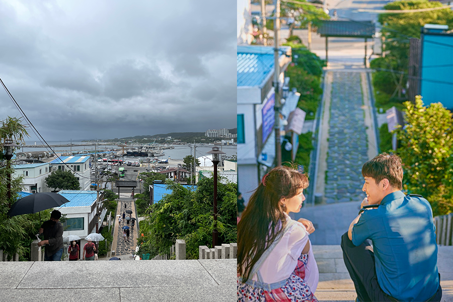 從坡頂俯瞰九龍浦的海岸景色，呈現出山茶花開時劇中的浪漫氛圍。