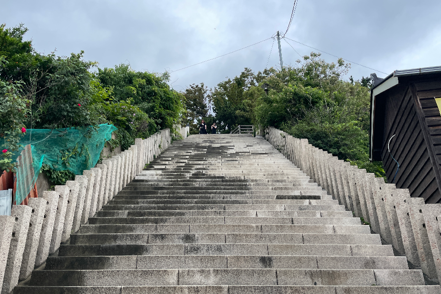 通往九龍浦文化街的長階梯，登頂後可眺望海景，是《山茶花開時》海報拍攝的場景之一。