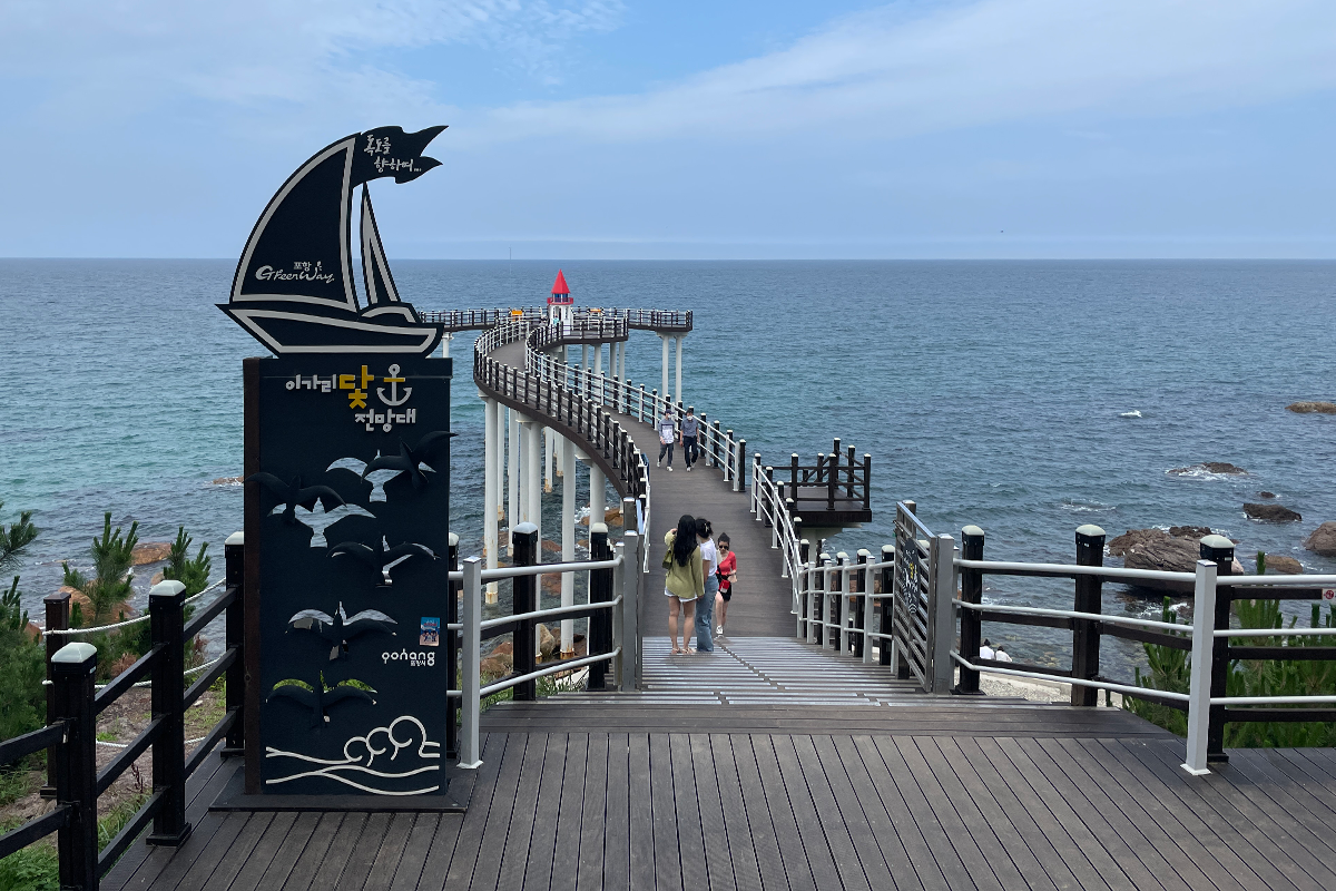 人們行走在二加里錨展望臺的蜿蜒木步道上，享受海風。