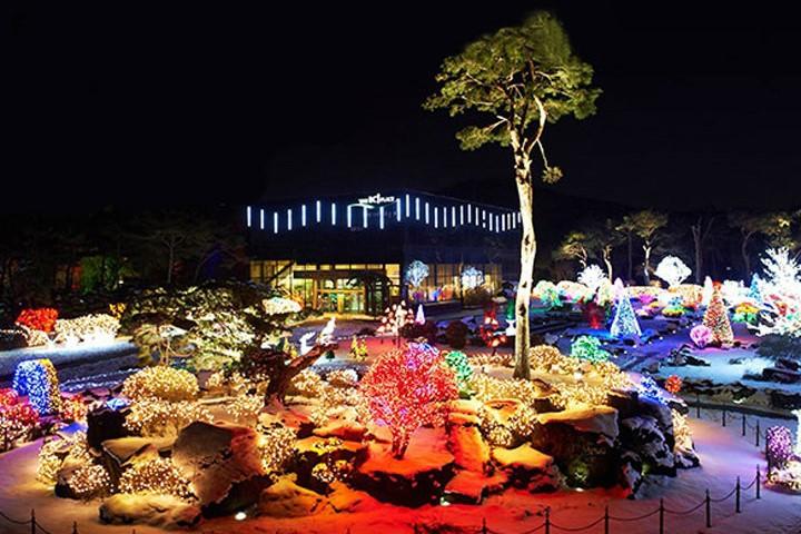 坡州碧草池文化樹木園