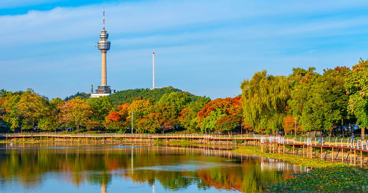 大邱市内の交通手段まとめ2022