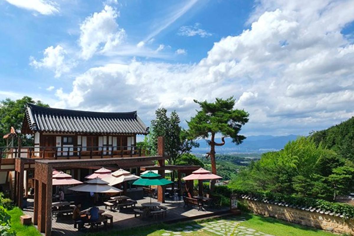 绿树环绕的传统韩屋庭院，游客可在此放松享受宁静氛围。