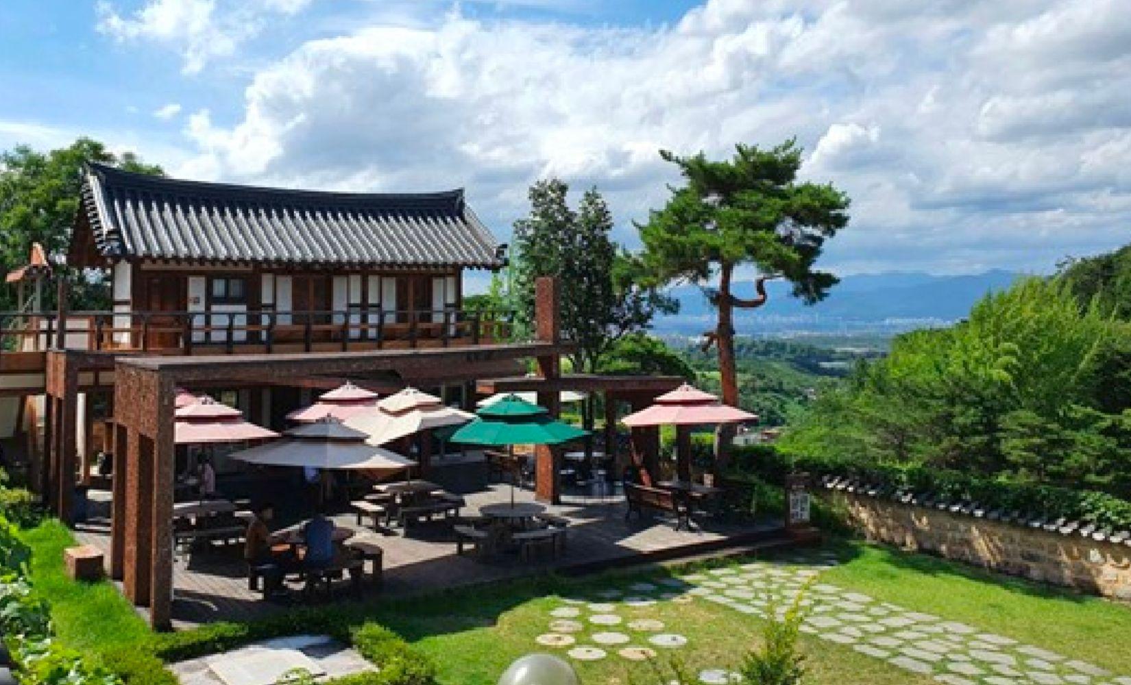 Tour y tế trong ngày ở Daegu: Tìm hiểu y học Hàn Quốc và sức khoẻ của bạn