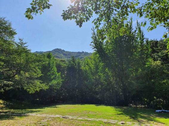 韓国、韓国旅行、韓国観光、韓国地方旅行、大邱、テグ、西門市場、韓方薬