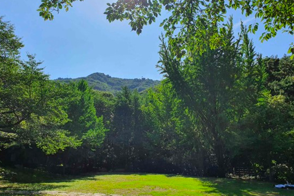 前山缆车引，连接森林的美丽景观，可以看到山顶的痕迹。