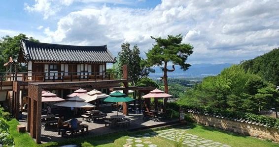 大邱 体験｜大邱韓方薬1日ツアー