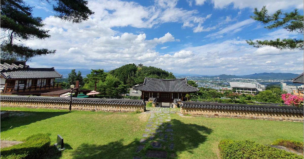 Journée de la médecine coréenne à Daegu
