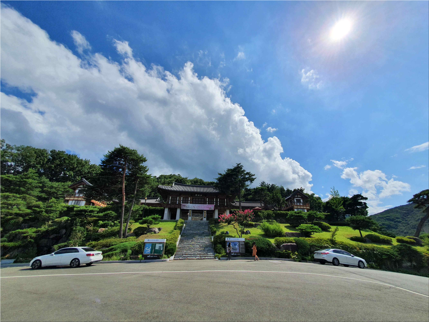 韓国、韓国旅行、韓国観光、韓国地方旅行、大邱、テグ、西門市場、韓方薬