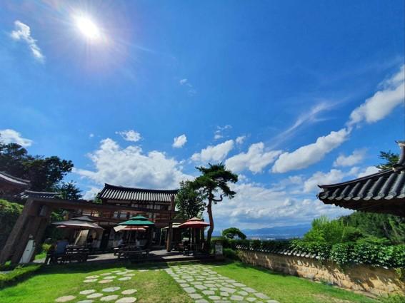 韓国、韓国旅行、韓国観光、韓国地方旅行、大邱、テグ、西門市場、韓方薬