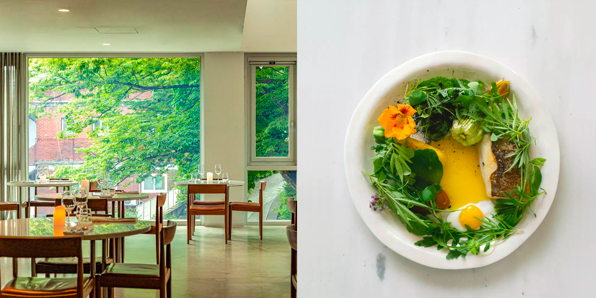 ソウルミシュラン、ミシュランガイドコリア2025、ソウル、韓国、ミシュラン、グルメ店