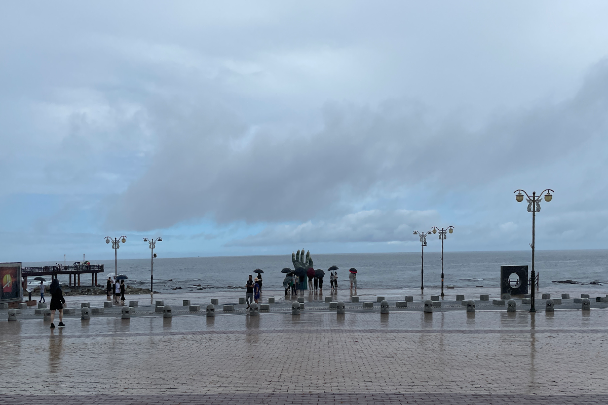 바다 위에 세워진 상생의 손, 갈매기들이 손가락에 앉아 있는 장면