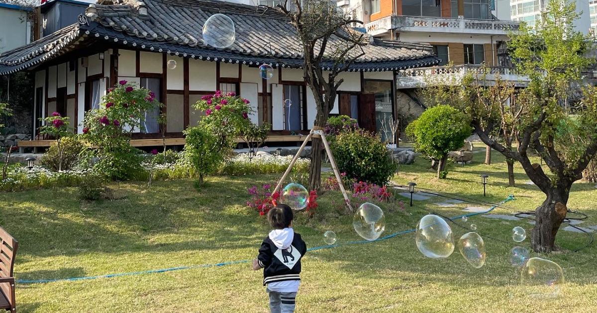 100 жилийн настай Hanok Stay & Gangneung дахь дарвуулт завины аялал