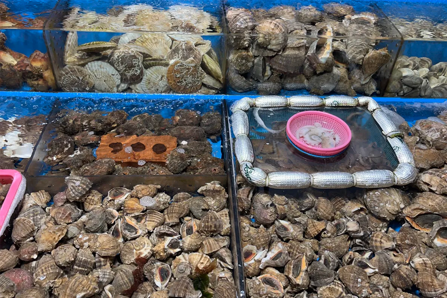 蘇萊浦口漁市場的海鮮供應區，顯示公開透明的標價