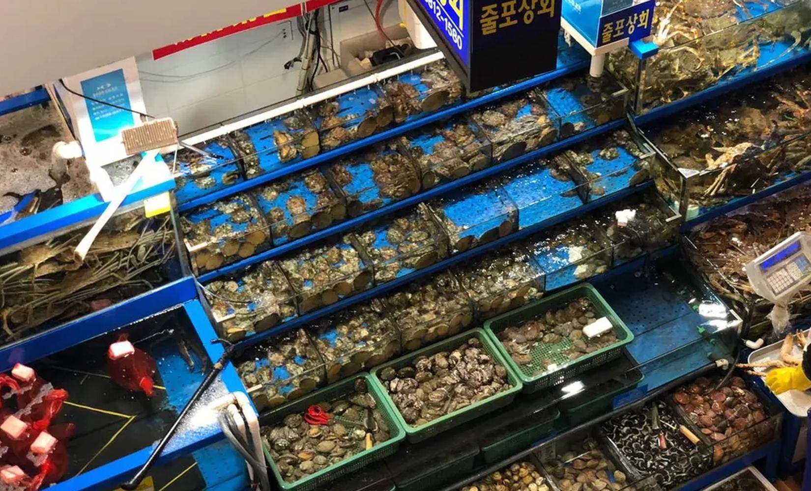 2025最新韓國水產市場總整理