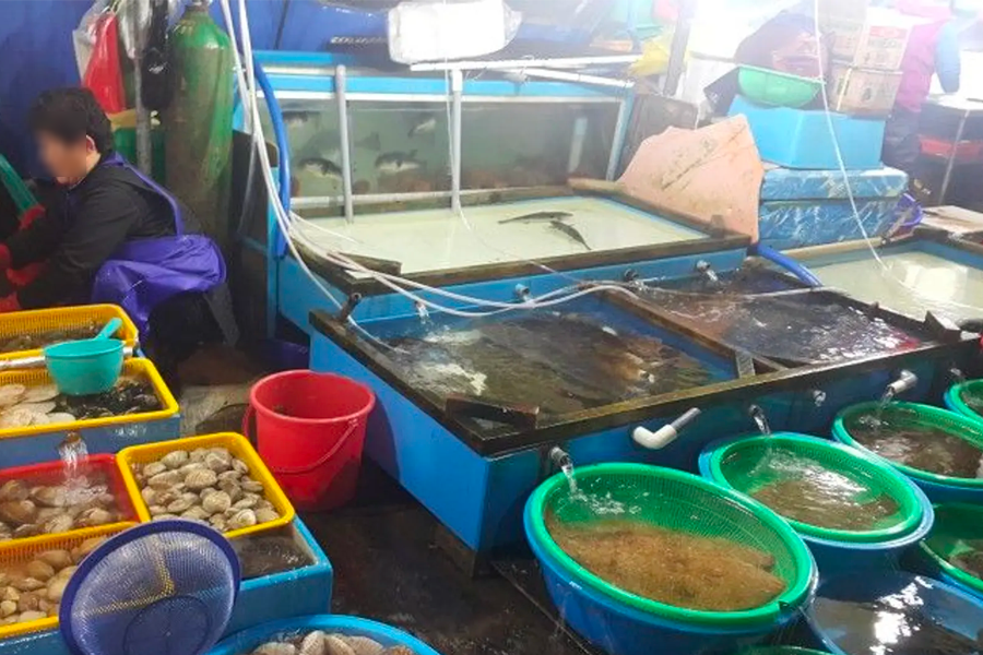 江陵註文津水產市場的攤位售賣各類新鮮海鮮