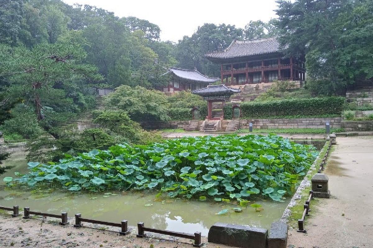 Imagen del Jardín Secreto en el Palacio Changdeokgung, Seúl, Corea del Sur, con un paisaje verde y un estanque de loto, representativo de la arquitectura coreana tradicional y el diseño de jardines.