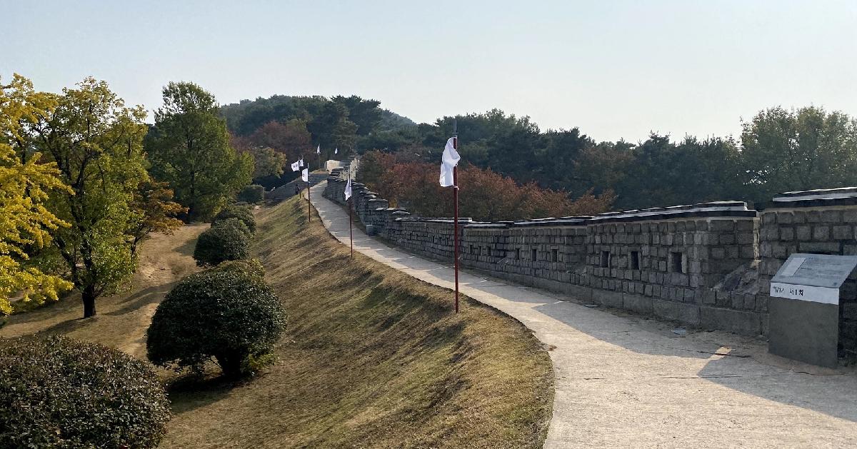 Suwon Hwaseong Fortress + Chicken&Beer Walking Tour
