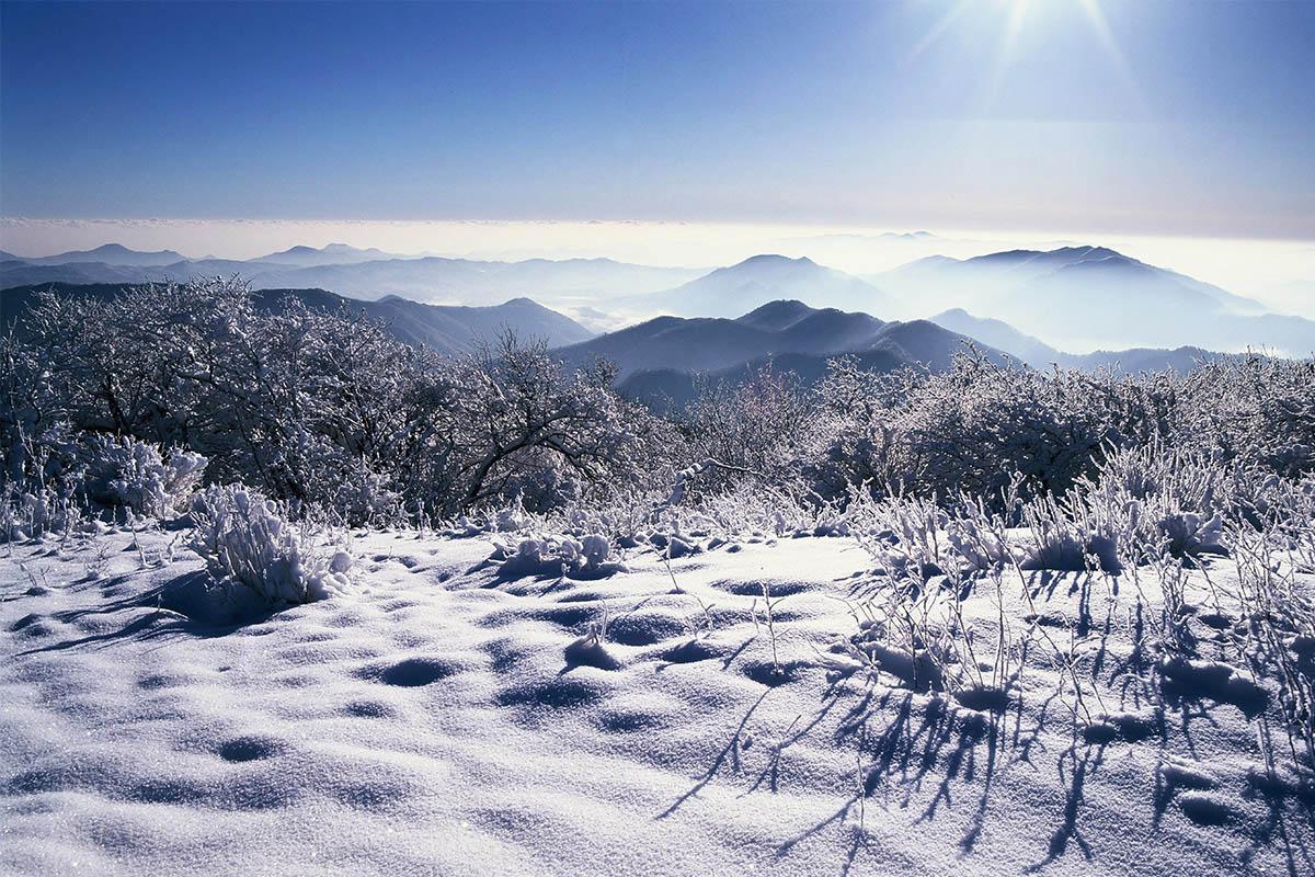 韓国地方旅行、観光地、江原道、カンウォンド、平昌、ピョンチャン、龍平リゾート、グローバル江原ウェルネスウィークツアー、発王山ケーブルカー