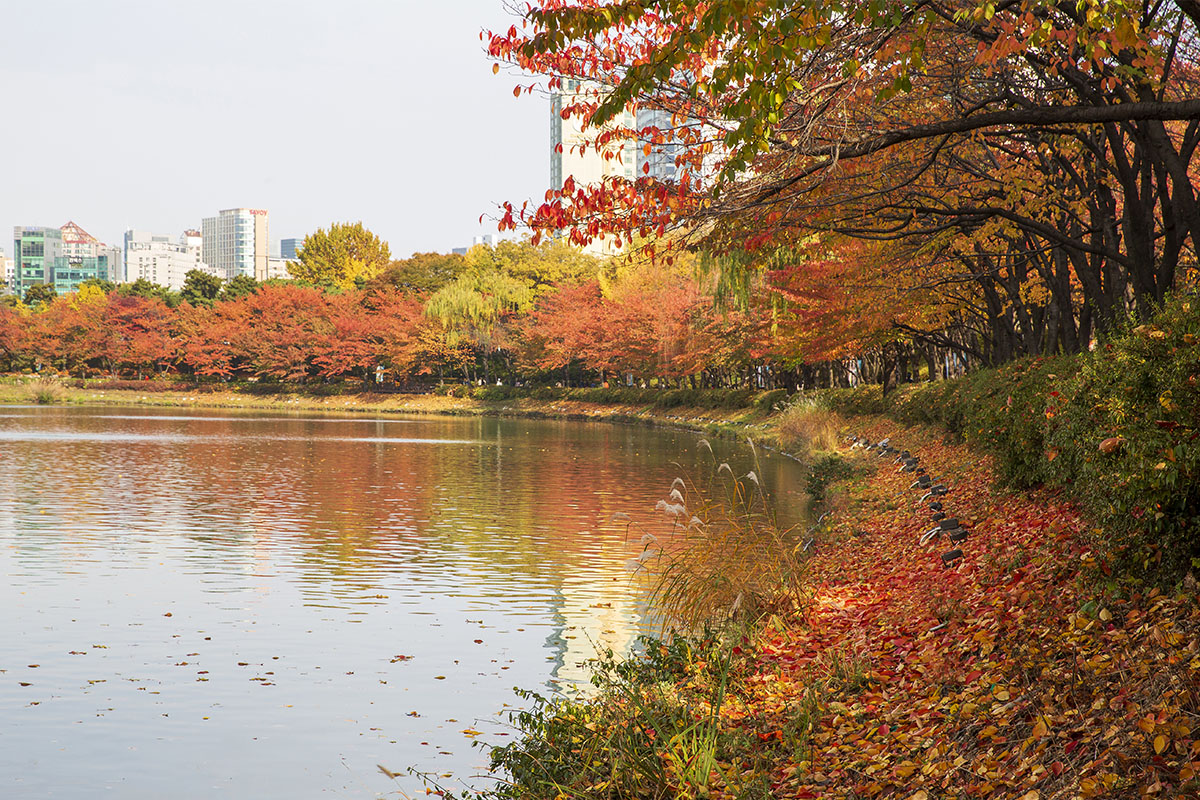 hồ seokchon trong Tour 1 ngày ngắm lá mùa thu ngẫu nhiên ở Seoul và Gyeonggi