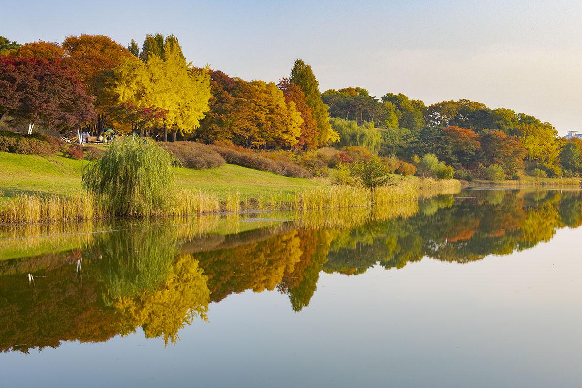 công viên olympic trong Tour 1 ngày ngắm lá mùa thu ngẫu nhiên ở Seoul và Gyeonggi