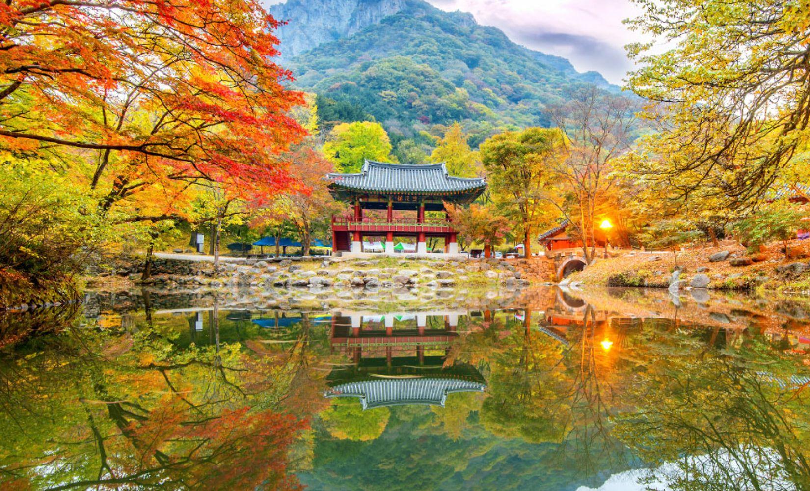 Tổng hợp tour ngắm lá đỏ hot nhất Hàn Quốc năm 2022, giá đặc biệt ưu đãi! 