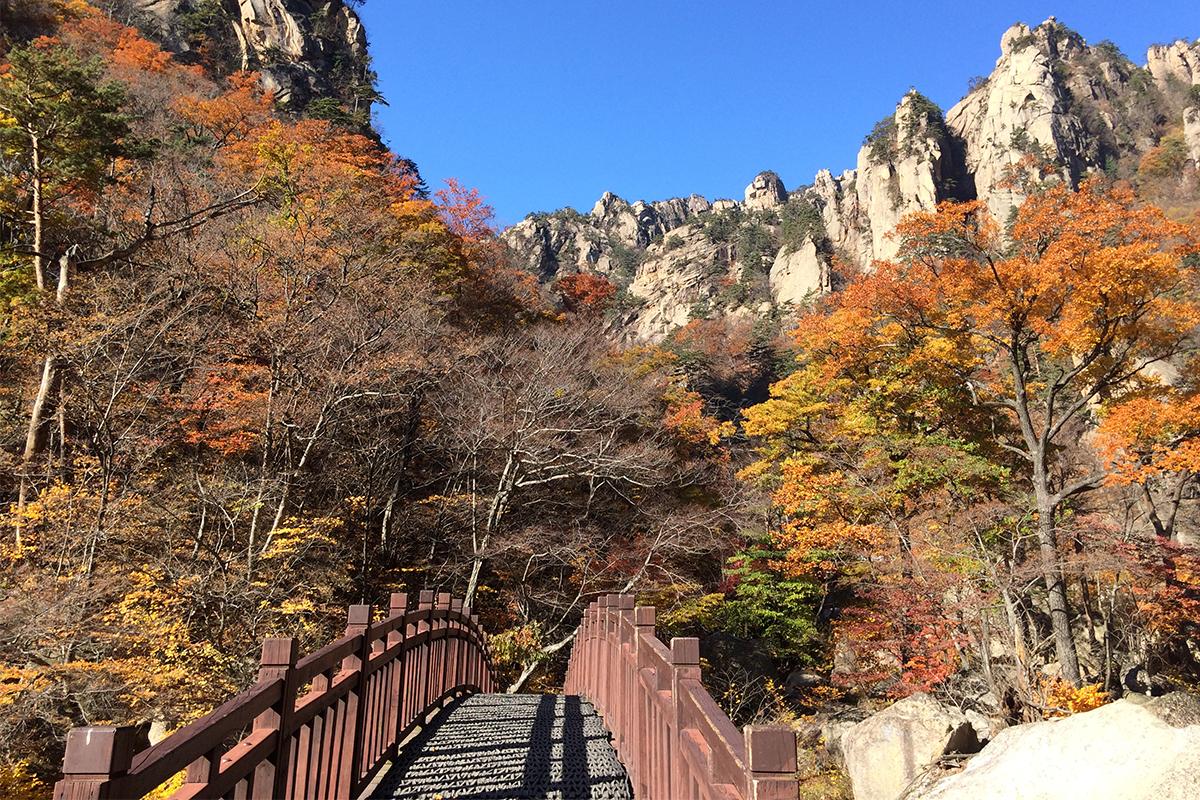 One Day Trip: ทัวร์ภูเขาซอรักซาน + เกาะนามิ + สวน Garden of Morning Calm