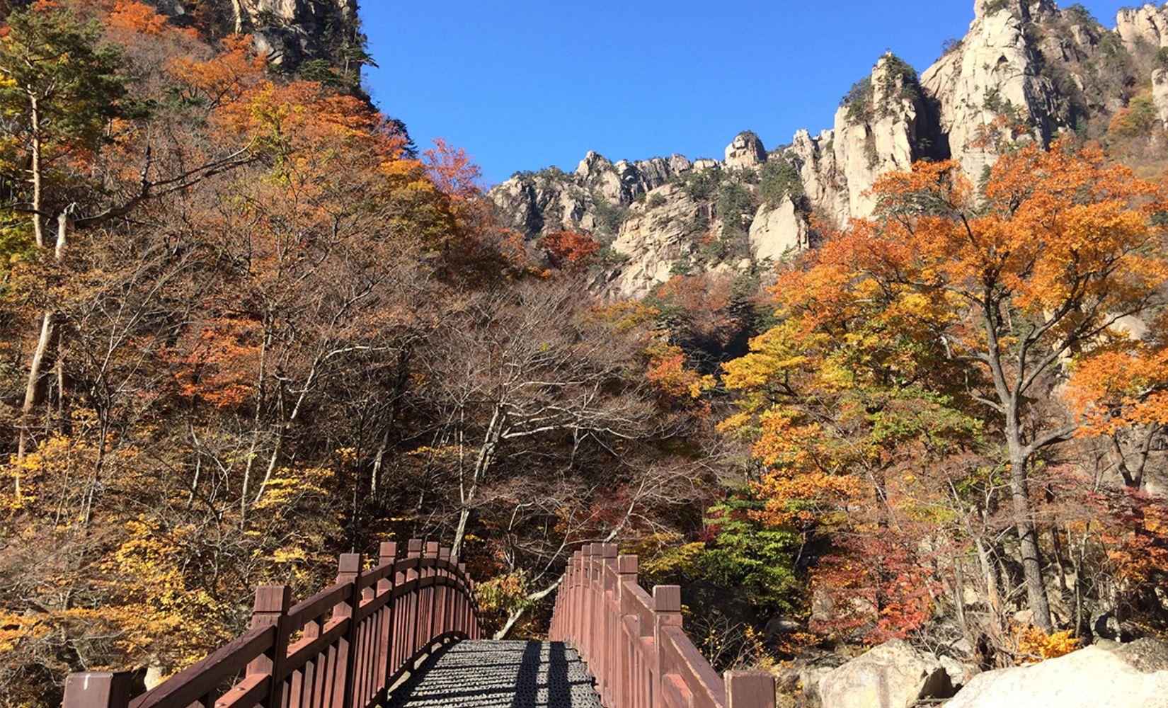 Tour 1 ngày tham quan Núi Seoraksan, Đảo Nami, The Garden of Morning Calm ở Hàn Quốc