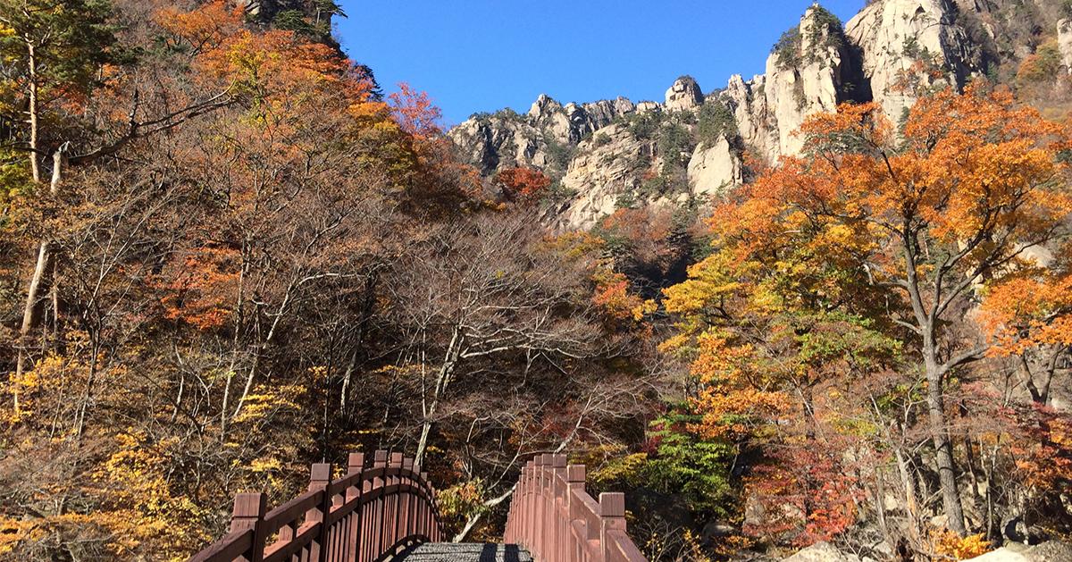 Excursión de un día a la montaña Seoraksan, la isla Nami y el Jardín de la calma matutina
