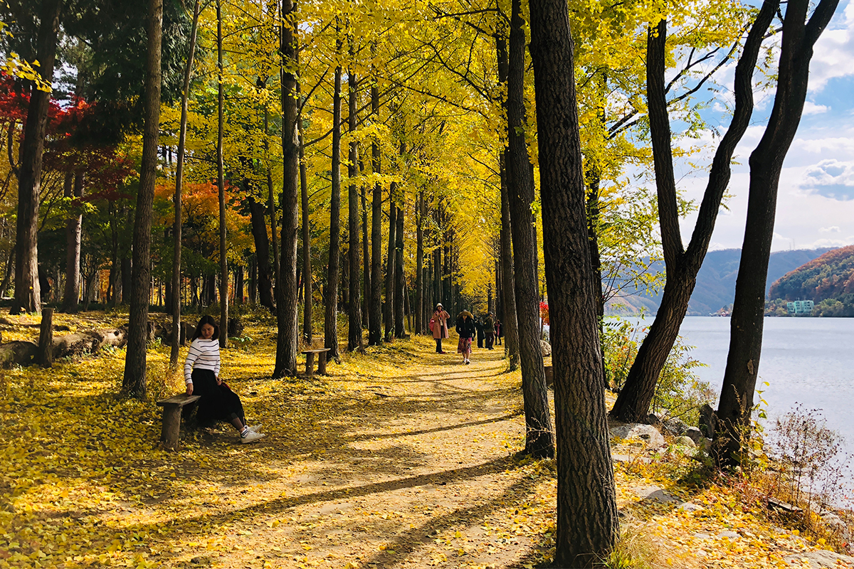 Tour 1 ngày tham quan Núi Seoraksan, Đảo Nami, The Garden of Morning Calm