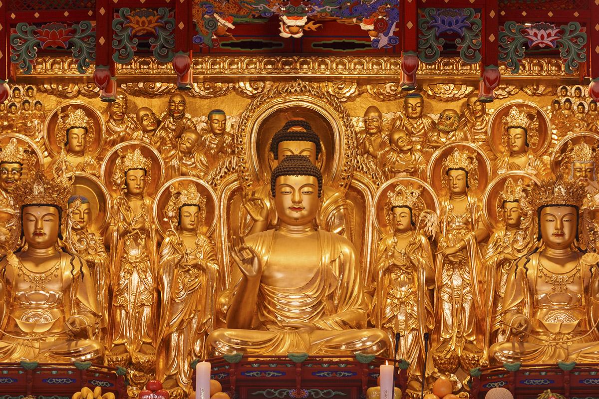 参加大邱寺院住宿，提供修行与放松的环境，背景为寺院建筑及自然景观。